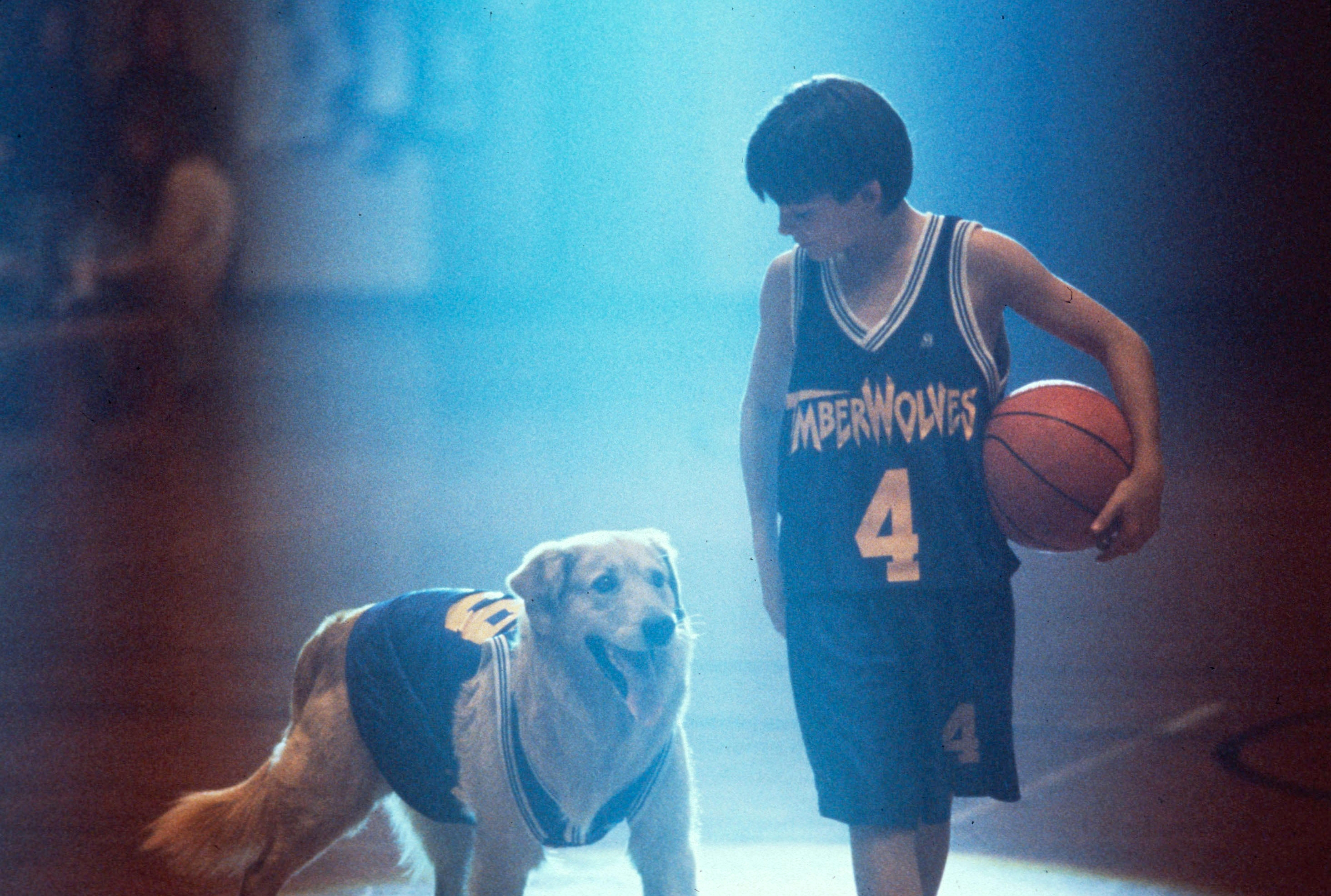 Buddy and Josh in the spotlight in the 1997 Walt Disney movie, <em>Air Bud</em>.